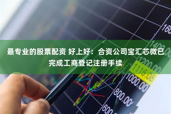 最专业的股票配资 好上好：合资公司宝汇芯微已完成工商登记注册手续